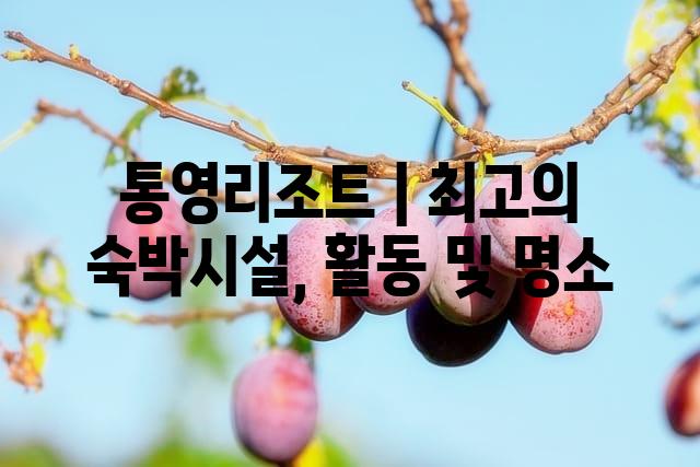 랜덤186