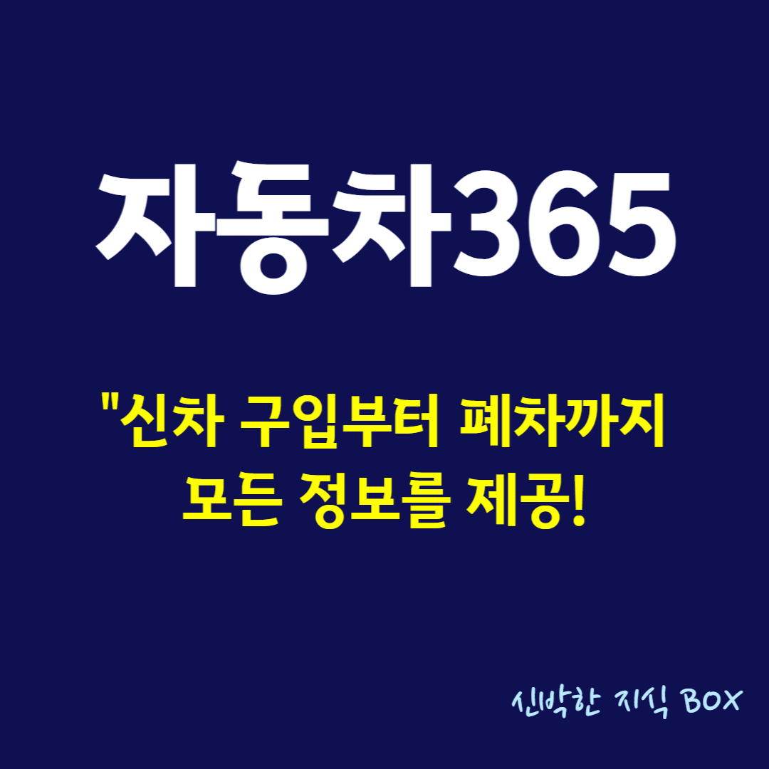 자동365