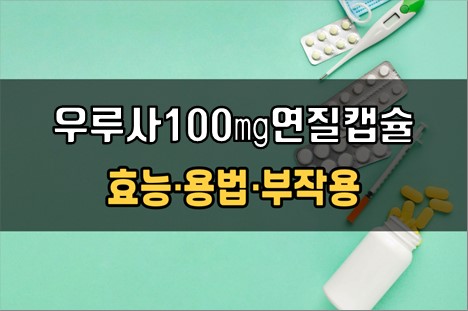  우루사100mg연질캡슐 복용 전 확인해야 할 3가지! 효능·효과, 복용법, 주의사항(부작용)
