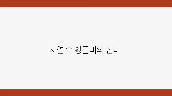 자연에서 발쫀되는 황금비 물리학쫄 나의 융합