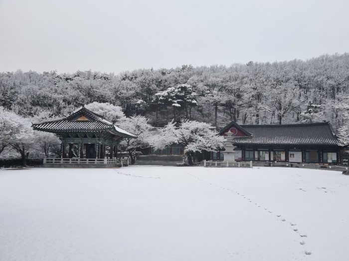 고산사