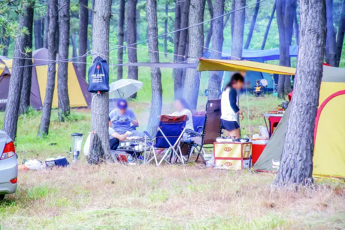 생방송오늘저녁 충남 태안 신박한 네바퀴 여행 여섯 식구도 거뜬 45인승 버스 캠핑카 오토 캠핑장 추천