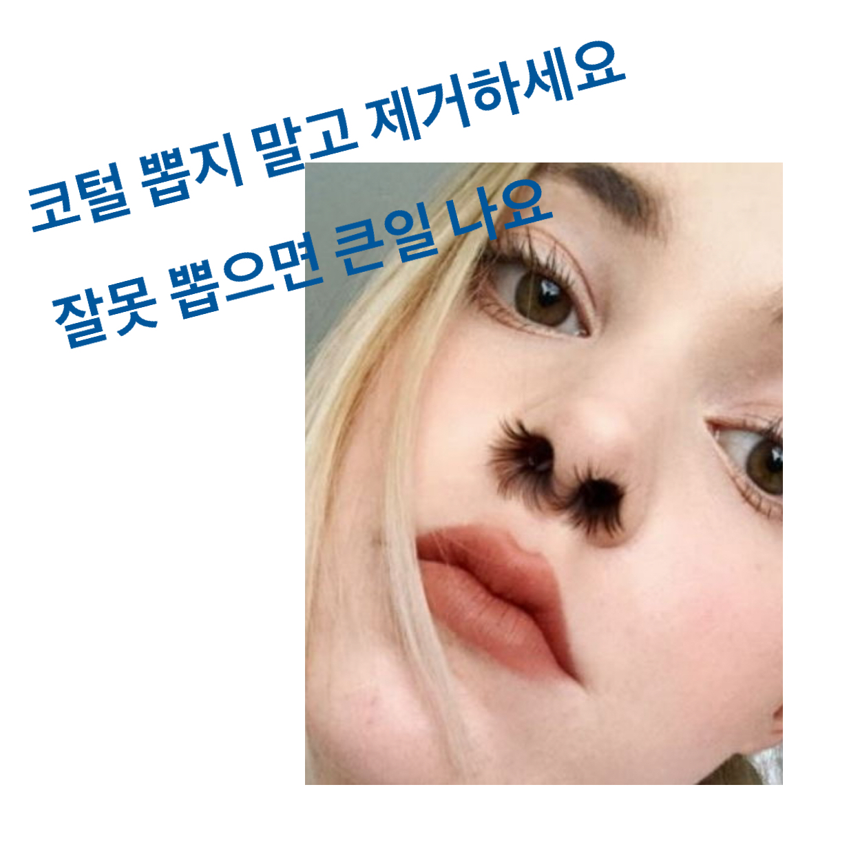 '코털' 함부로 뽑다가 사망할 수 있다. 코털 은 잘 정리해야 한다.