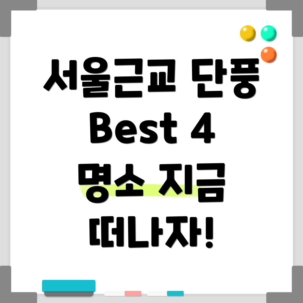 서울근교 단풍놀이