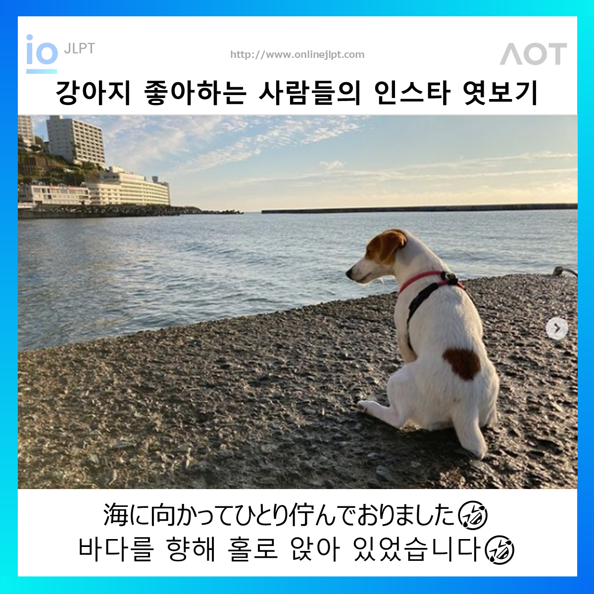  ［인스타 엿보기］海に向かってひとり佇んでおりましたc