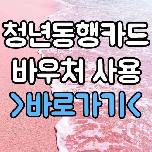  청년동행카드 교통비 바우처 사용 방법