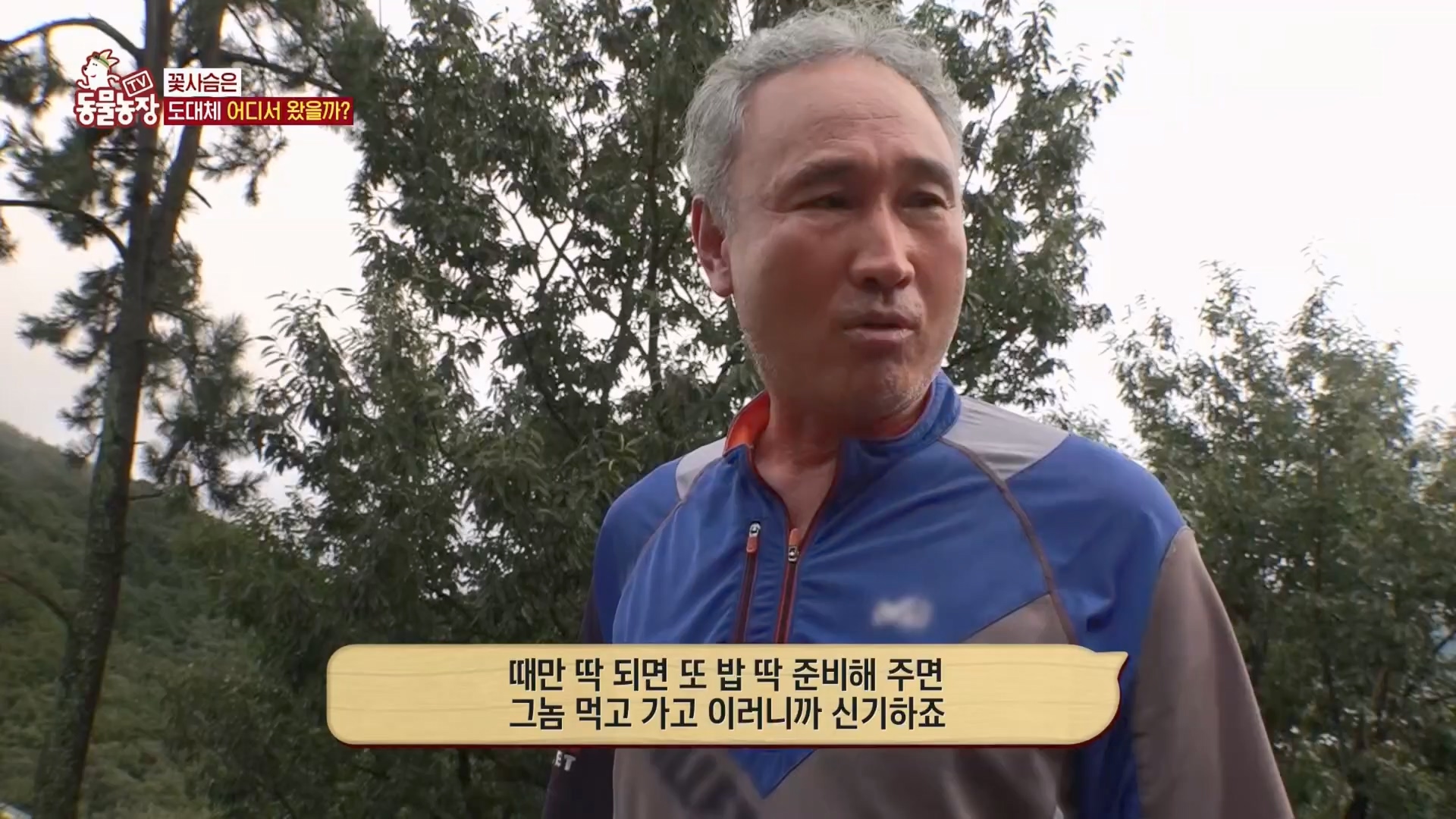 TV 동물농장.E1139.230924p.H264-F1RST.mp4_20230924_172349.904.jpg