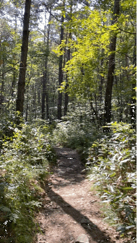 직소 [부안/변산면] : 변산반도국립공원 3