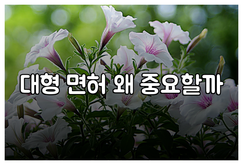 대형 면허 왜 중요할까