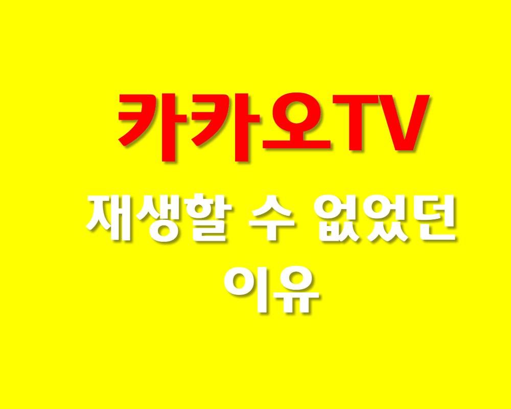  카카오TV 동영상 재생할 수 없었던 이유