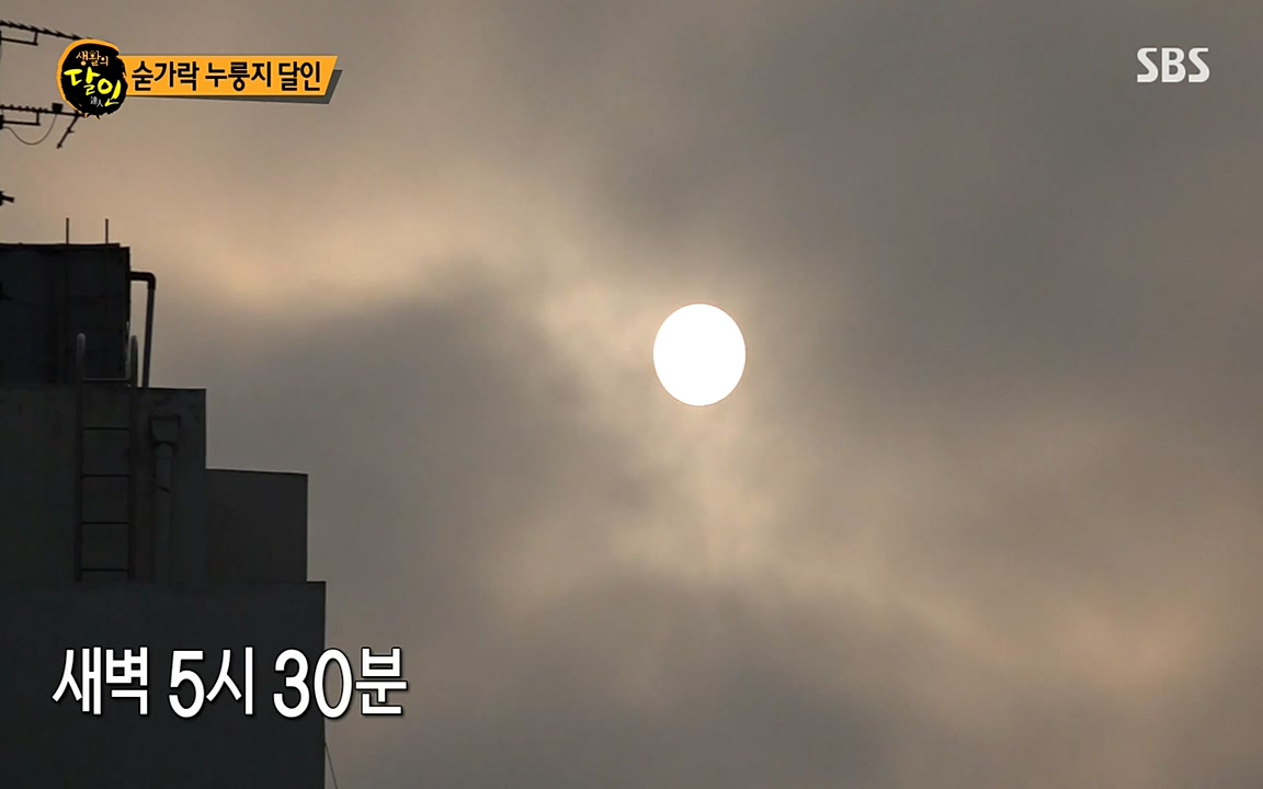 생활의 달인.E847.220614p-NEXT.mp4_20220614_201100.088.jpg