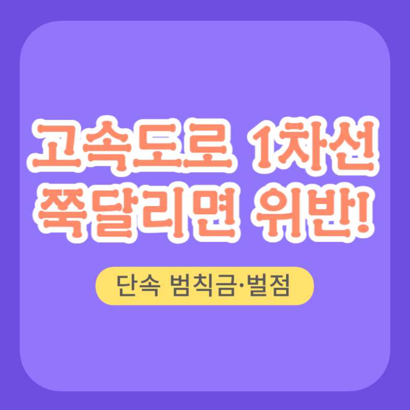 고속도로 1차선 단속