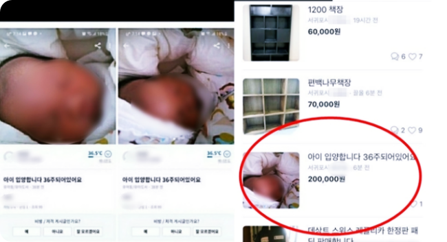  제주 당근마켓에서 '36주 영아 20만원' 판매글 올라와 충격