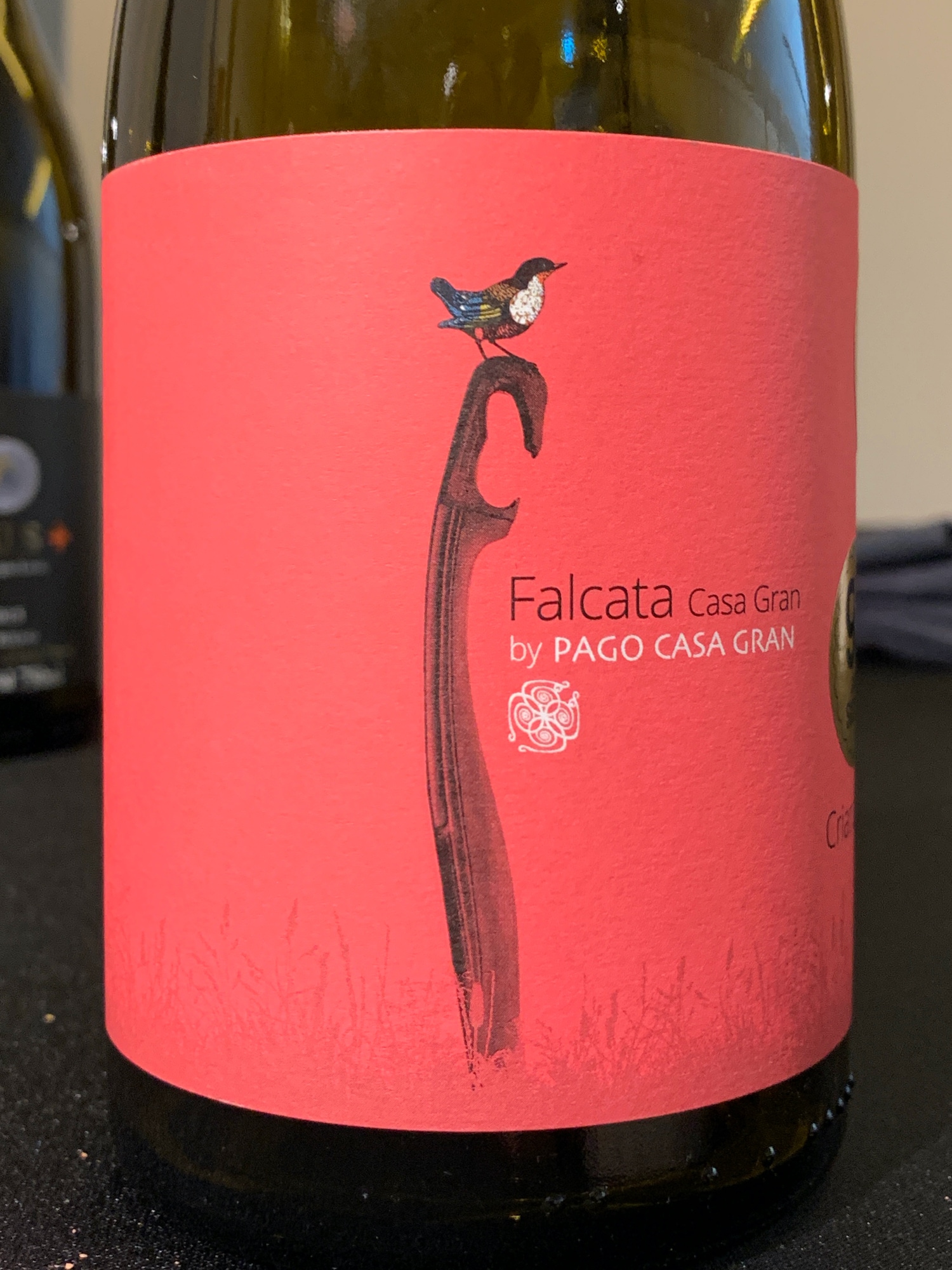 Pago Casa Gran Falcata 2016