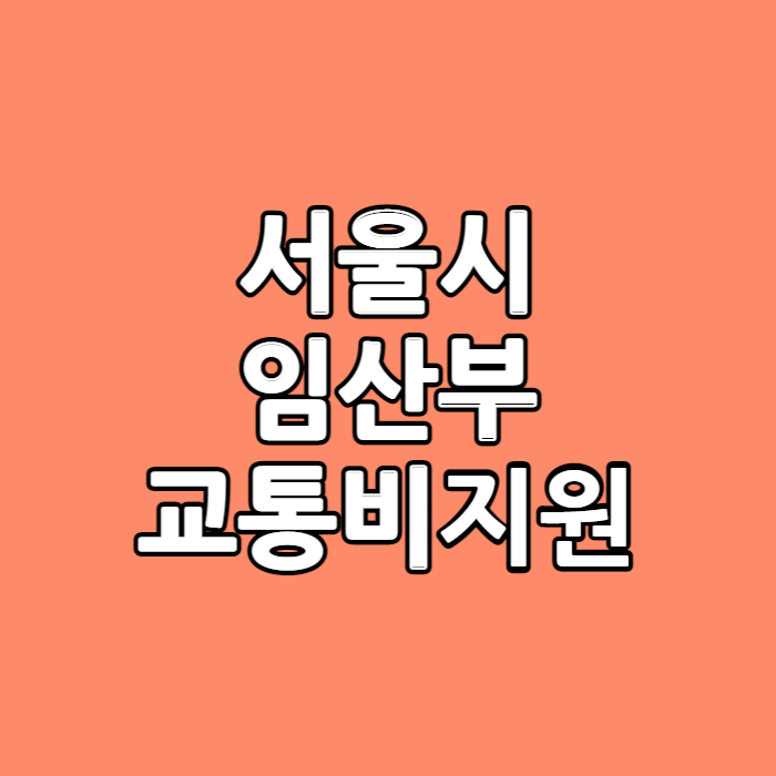 서울시-임산부-교통비지원-제목-이미지