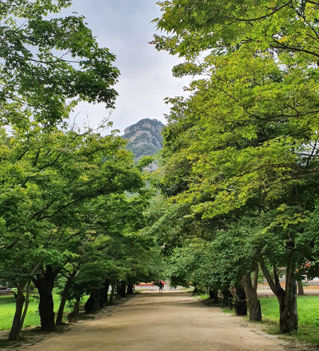  변산반도국립공원 부안 능가산 내소사 전나무숲길~