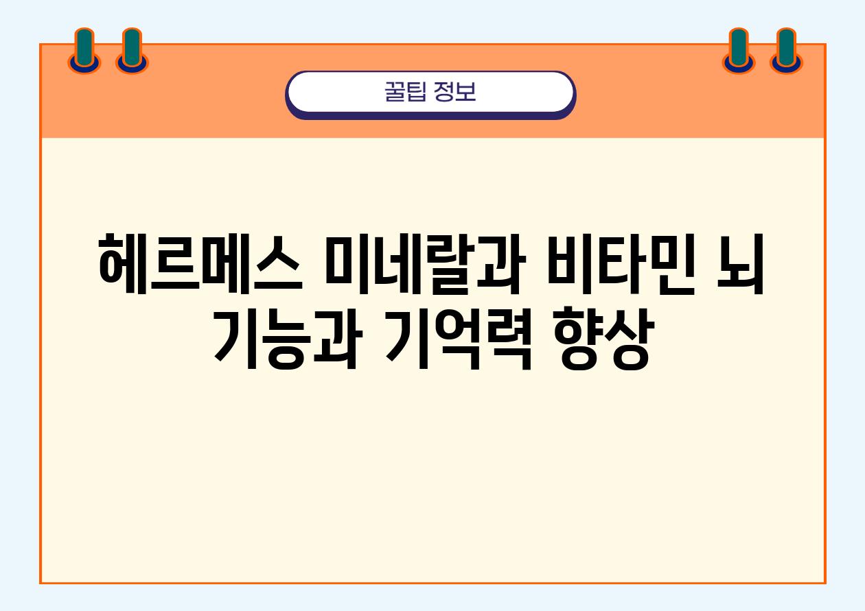 헤르메스 미네랄과 비타민 뇌 기능과 기억력 향상