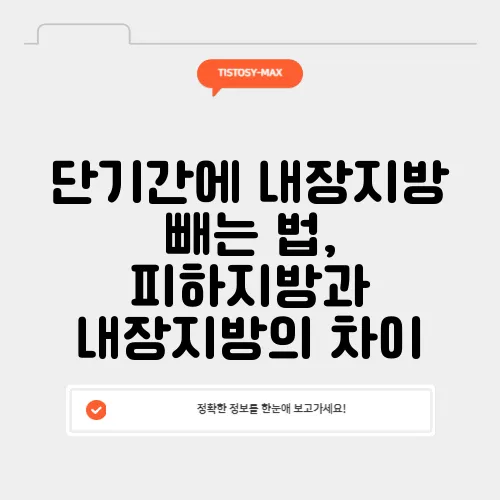 단기간에 내장지방 빼는 법, 피하지방과 내장지방의 차이