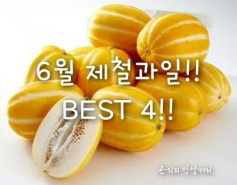 6월 제철 과일 추천 여름 과일 종류_7