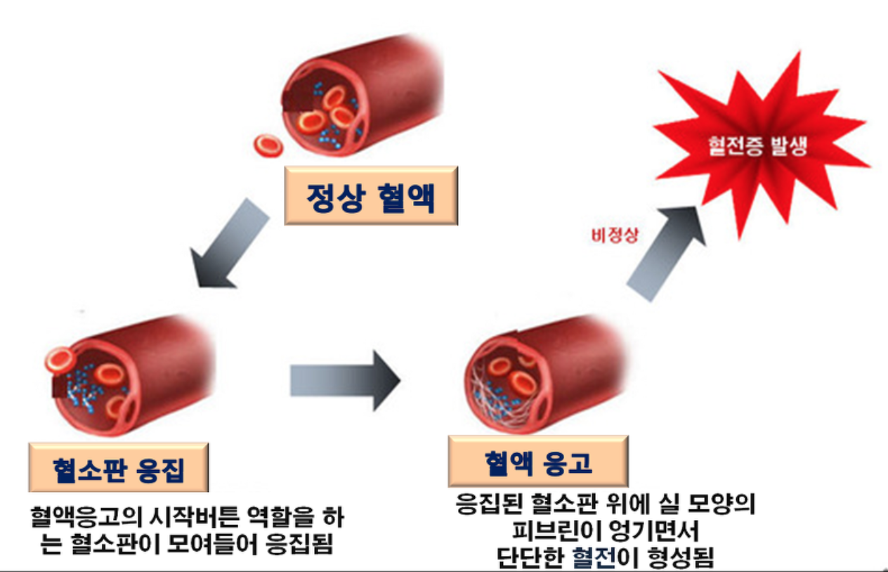 심혈관질환 등의 약을 복용하면 생길 수 있는 양배추즙의 부작용