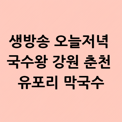  생방송 오늘저녁 국수왕 강원 춘천 유포리 막국수 메밀 막국수 3대 위치 장소 메뉴 55년 전통