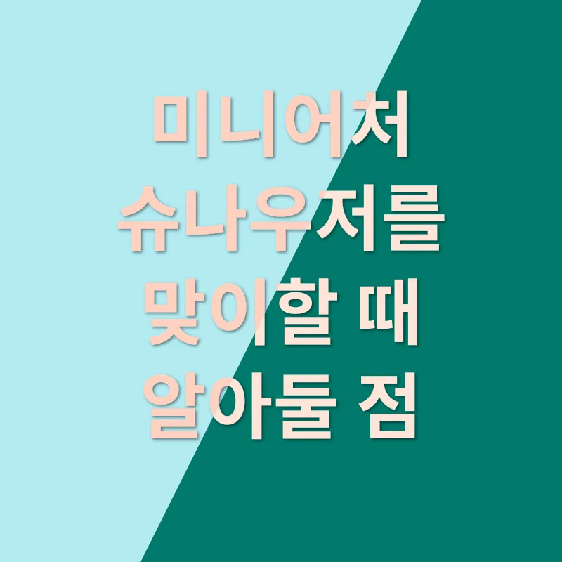 개성 넘치는 미니어처 슈나우저, 귀여움과 활기가 매력!_3