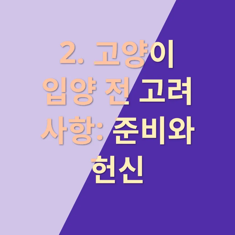 고양이 입양_2