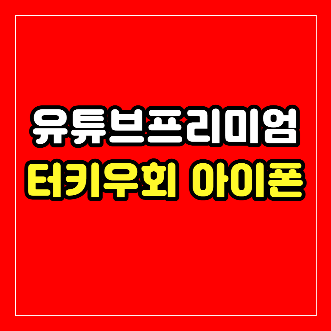아이폰 유튜브 프리미엄 터키 우회