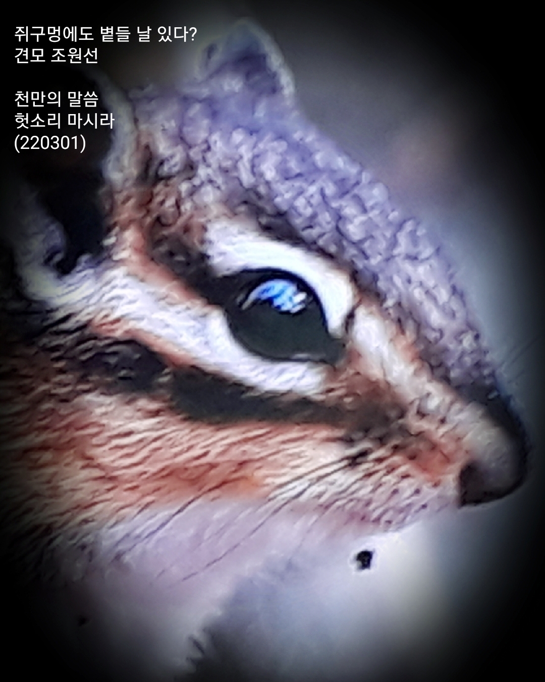 볕들 이미지