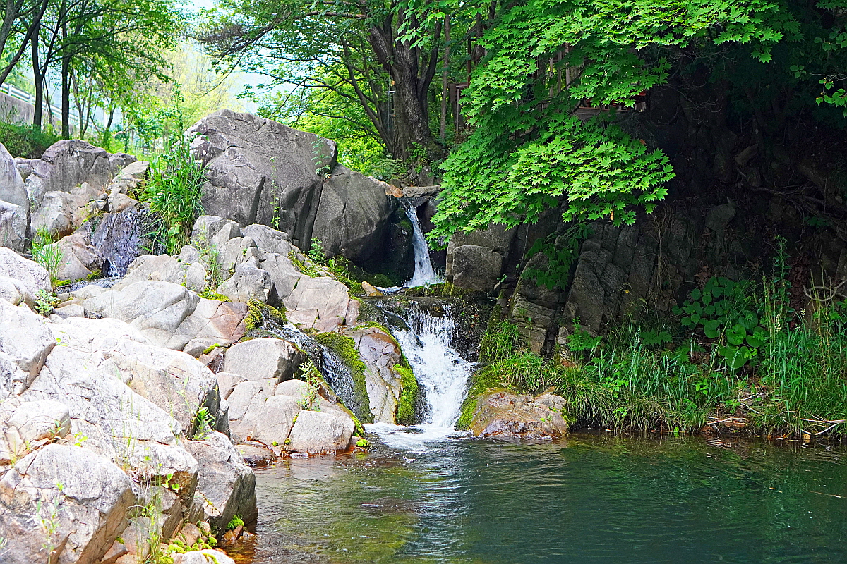 제천 명암산채건강마을