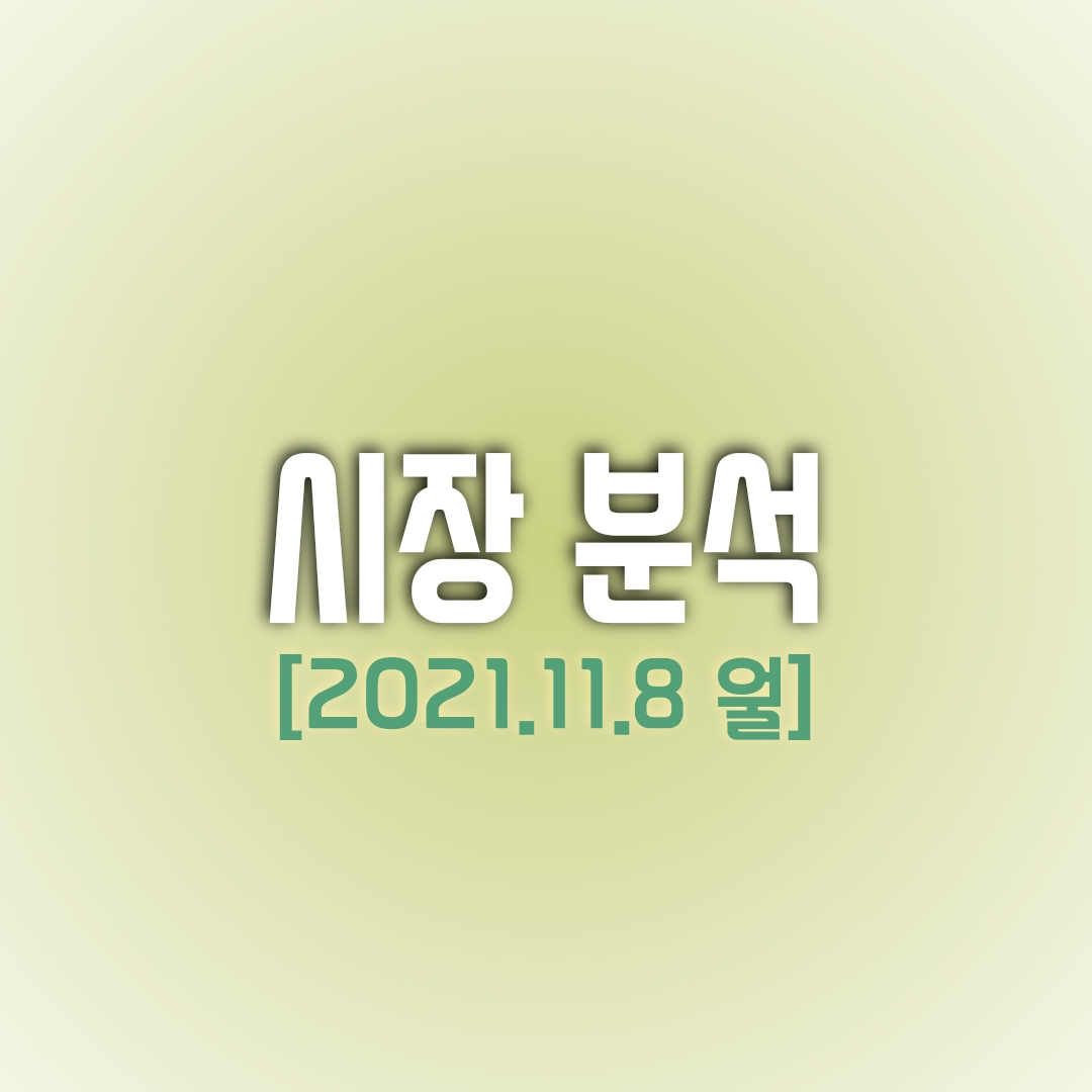  금일(11/08) 주식 시장 분석