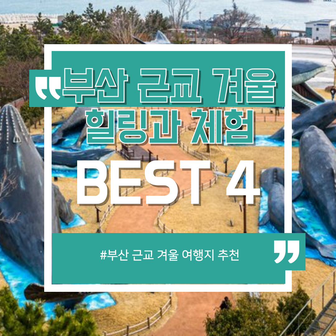 부산 근교 겨울 여행지 추천! 힐링과 체험을 동시에 즐길 수 있는 BEST 4