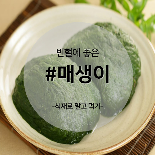  알고 먹기 31. #매생이
