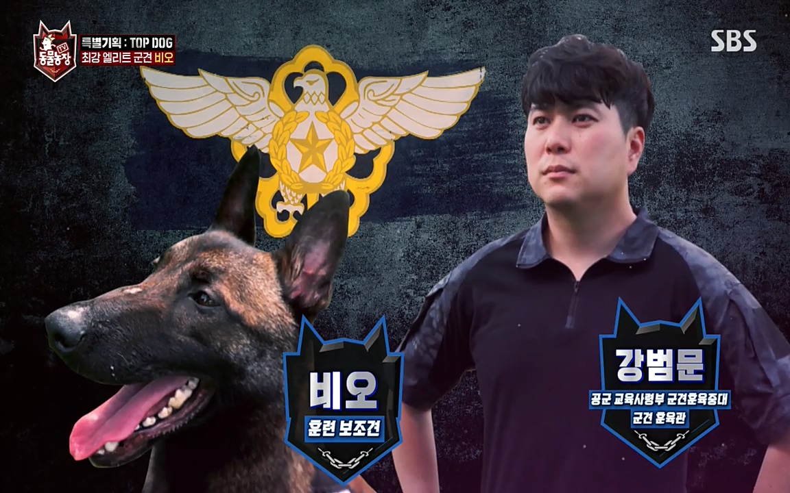 TV 동물농장.E1085.220905p-NEXT.mp4_20220904_171531.130.jpg