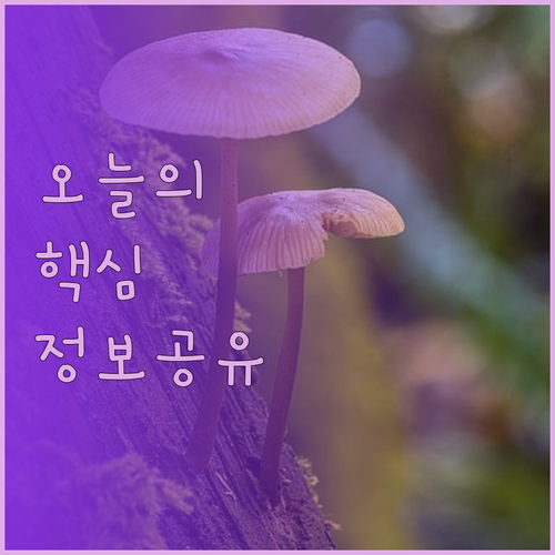 인터시티호텔 베를린 하우프트반호프..