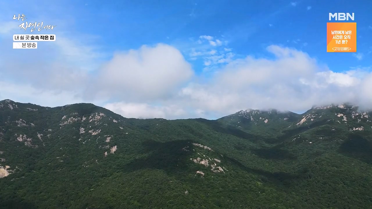 나는 자연인이다.E613.240711p-NEXT.mp4_20240711_195300.382.jpg