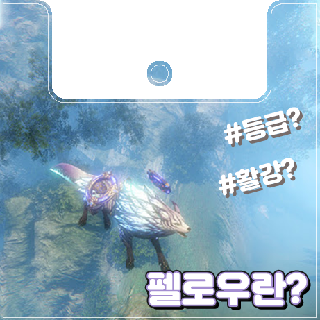  [이카루스] 펠로우란?