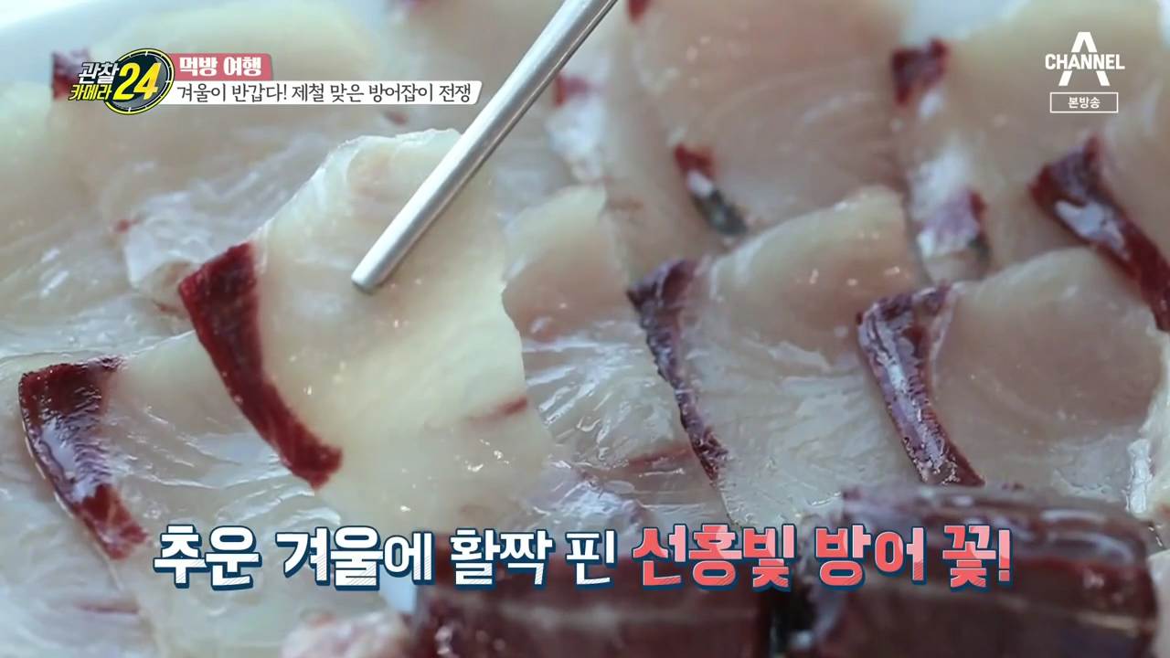  관찰카메라 전남 완도 방어낚시 대방어회 방어매운탕 방어 머리구이 샤브샤브 맛집 식당 위치 찾아가는 방법