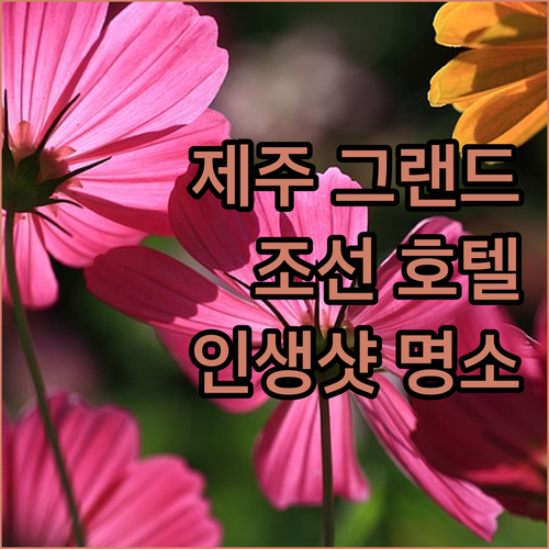 그랜드 조선 제주 숨겨진 매력 파헤치
