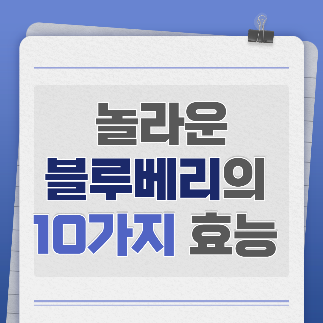  놀라운 10가지 블루베리 효능