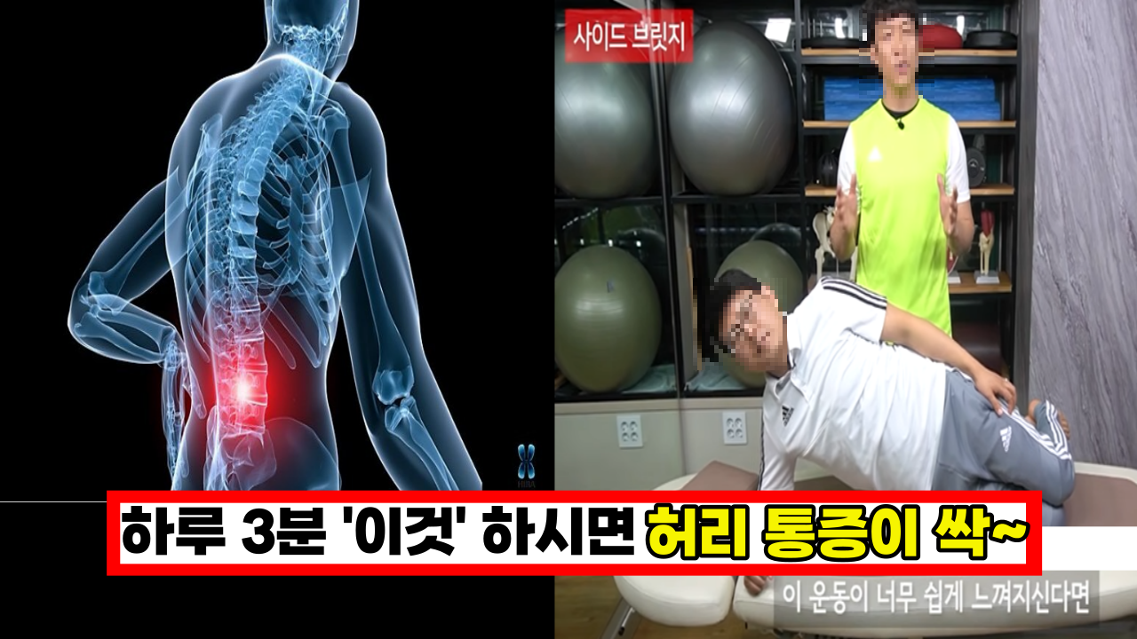  '하루 5분이면 통증이 쑥' 허리 통증 있는 사람은 꼭 해야 하는 척추 권위자의 코어 운동 3가지