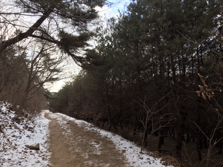 광덕산 자연인 겨울 산 26