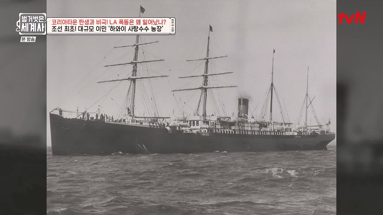 벌거벗은 세계사.E127.231129p-NEXT.mp4_20240608_171222.816.jpg