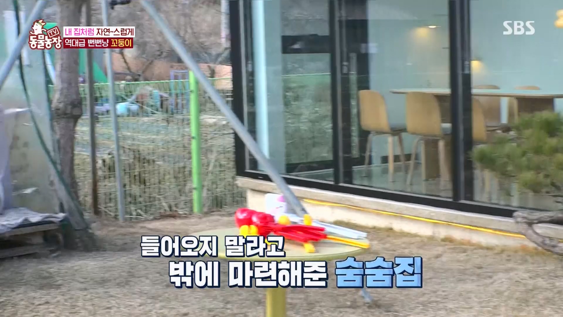 TV 동물농장.E1159.240218p.H264-F1RST.mp4_20240218_170005.746.jpg