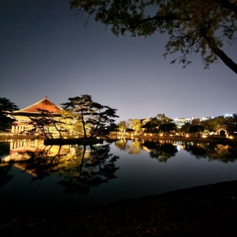 경복궁 별빛 야행 코스