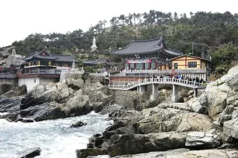 해동 용궁사 근처 맛집 입장료 둘레길 소요시간_16