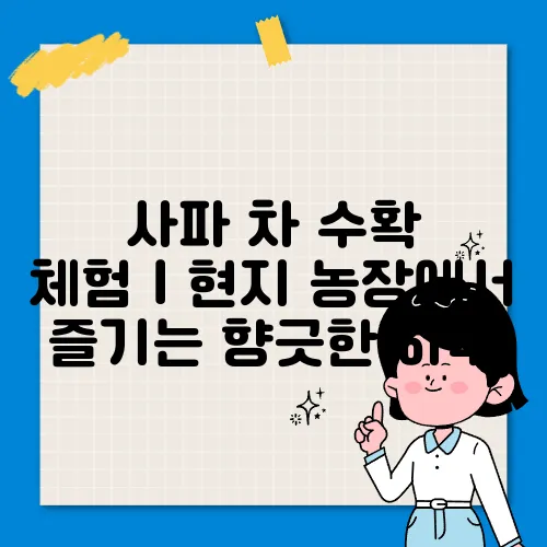 사파 차 수확 체험｜현지 농장에서 즐기는 향긋한 하루