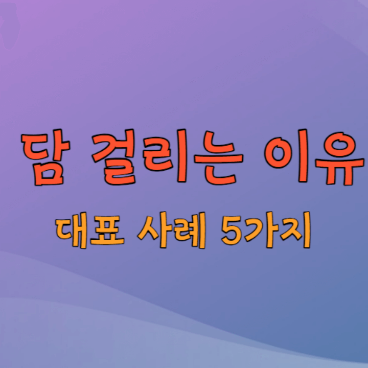 담 걸리는 이유