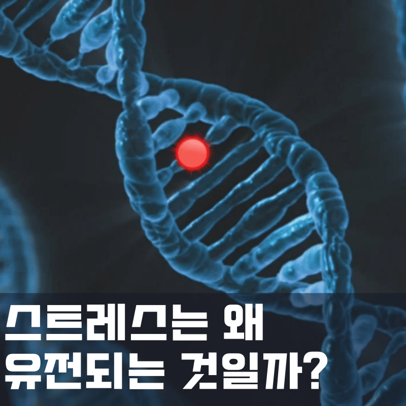 스트레스는 왜 유전되는 걸까