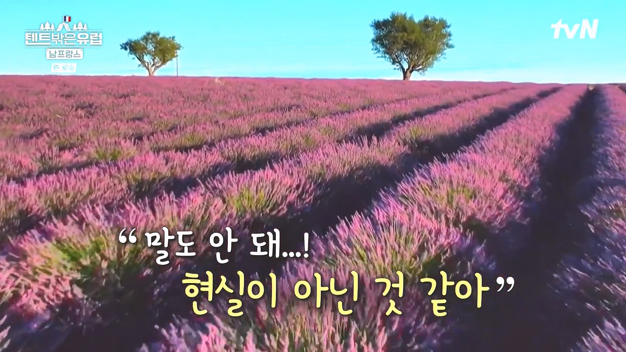 텐트 밖은 유럽 남프랑스 편.E01.240219p-NEXT.mp4_20240803_152527.573.jpg
